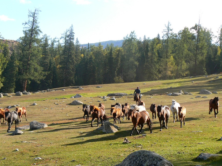 p1250817.jpg