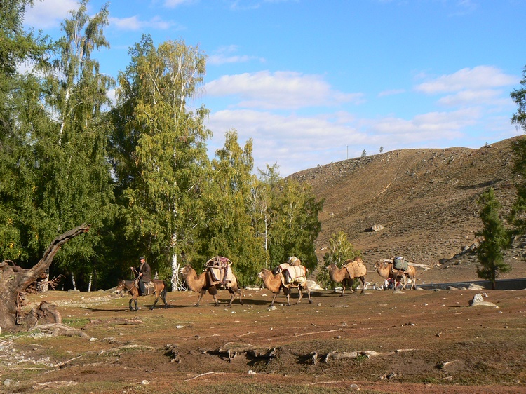 p1250824.jpg