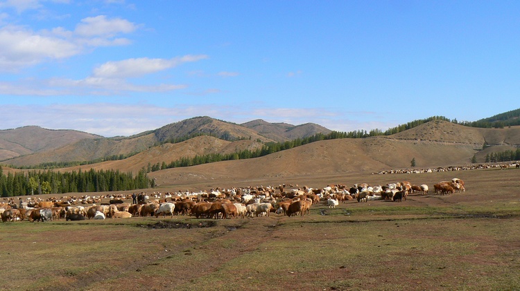 p1250842.jpg