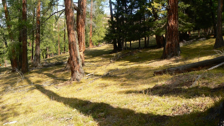 p1250852.jpg