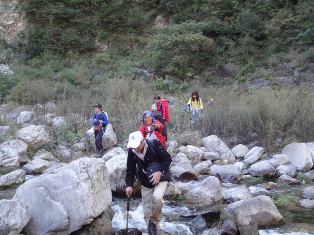 dsc02223.jpg