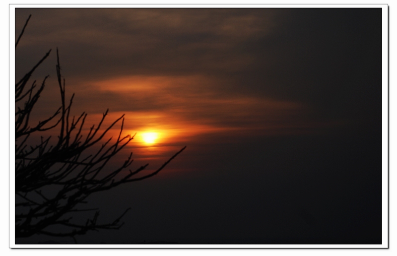 dsc_0655.jpg