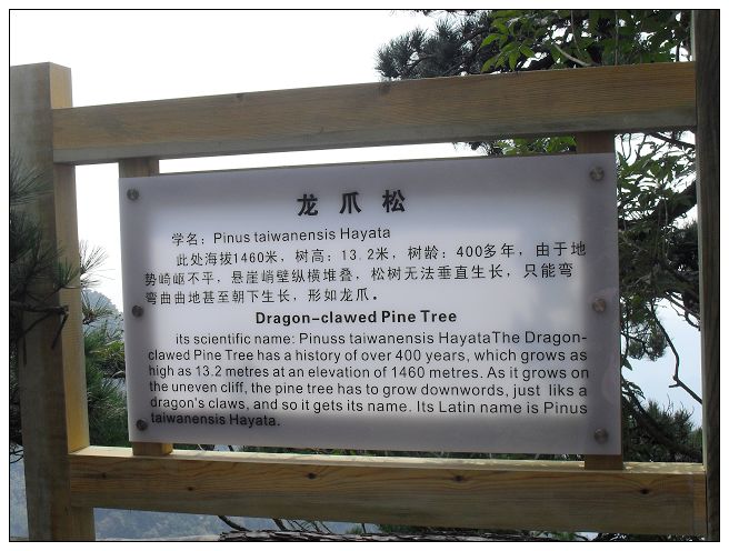 sdc13345.jpg