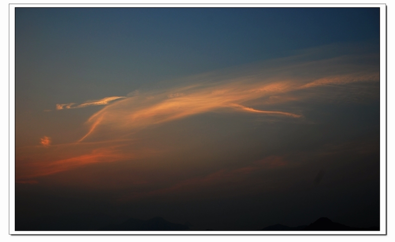 dsc_0843.jpg