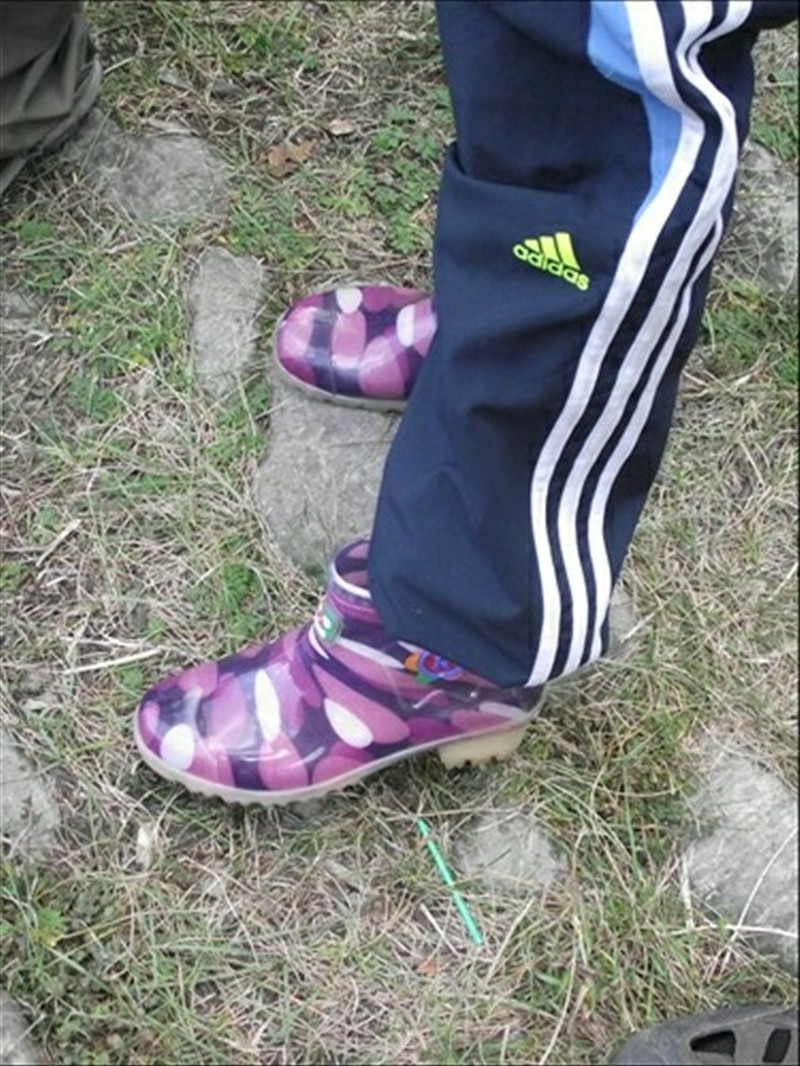 dscf1516.jpg