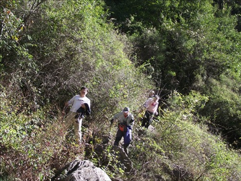 dscf1496.jpg