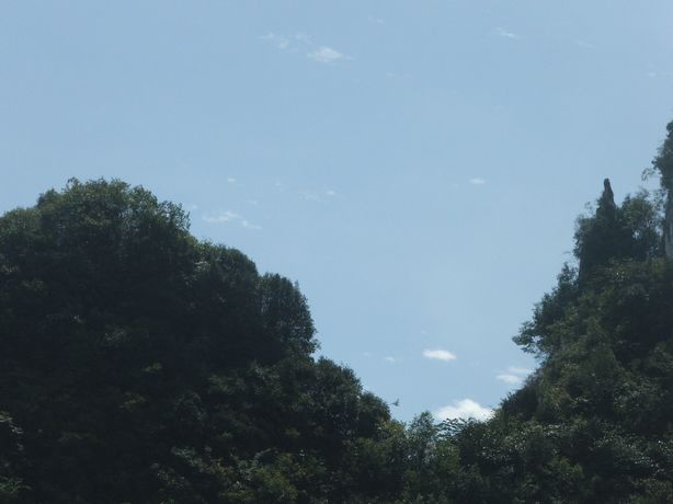 dscf7351.jpg