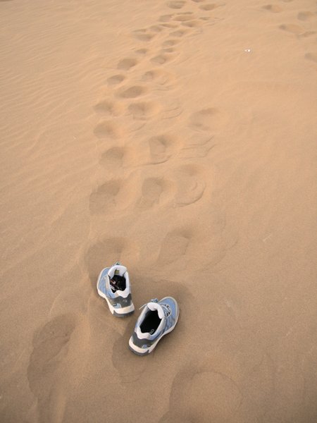 1-㼣.jpg