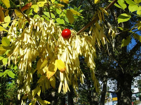 1-ʶʲô.jpg
