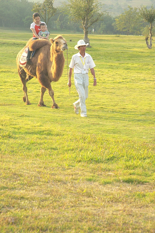 dsc_0241.jpg