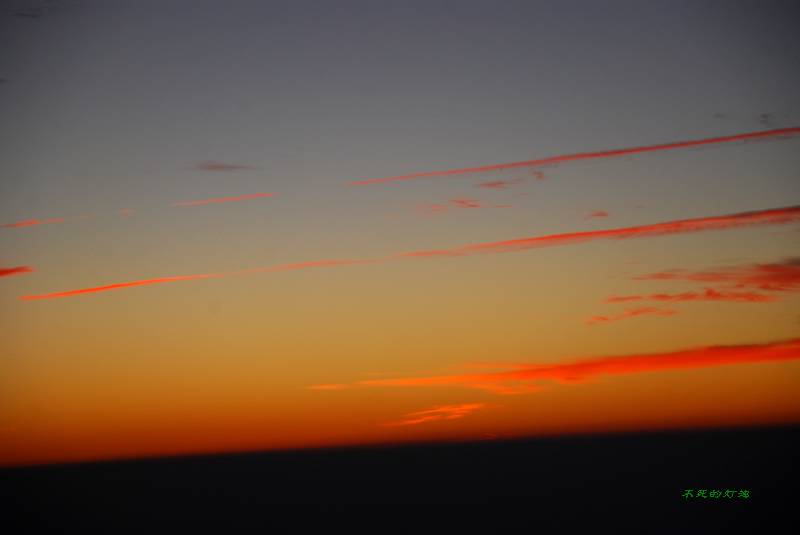 dsc_5919_neo_img.jpg