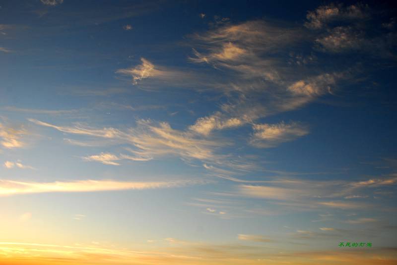 dsc_5977_neo_img.jpg