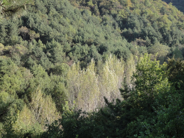 dsc02245.jpg