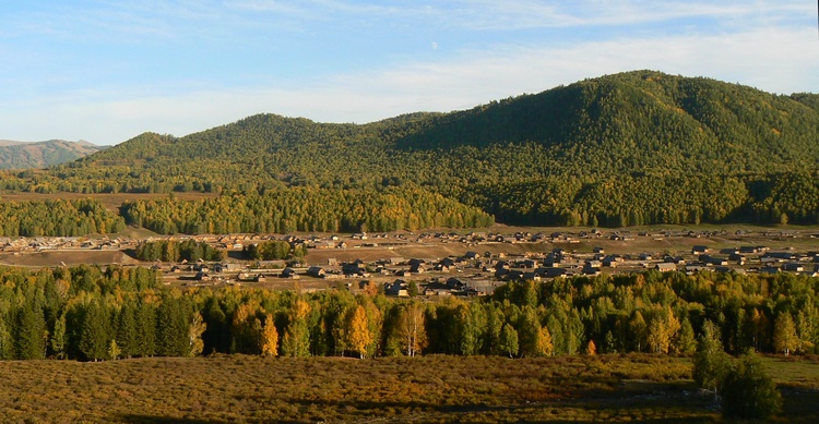 p1260054.jpg