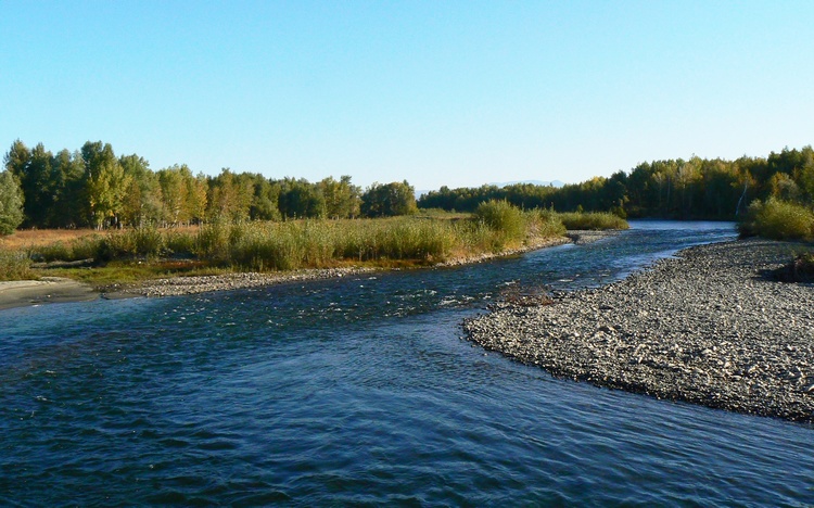 p1260158.jpg