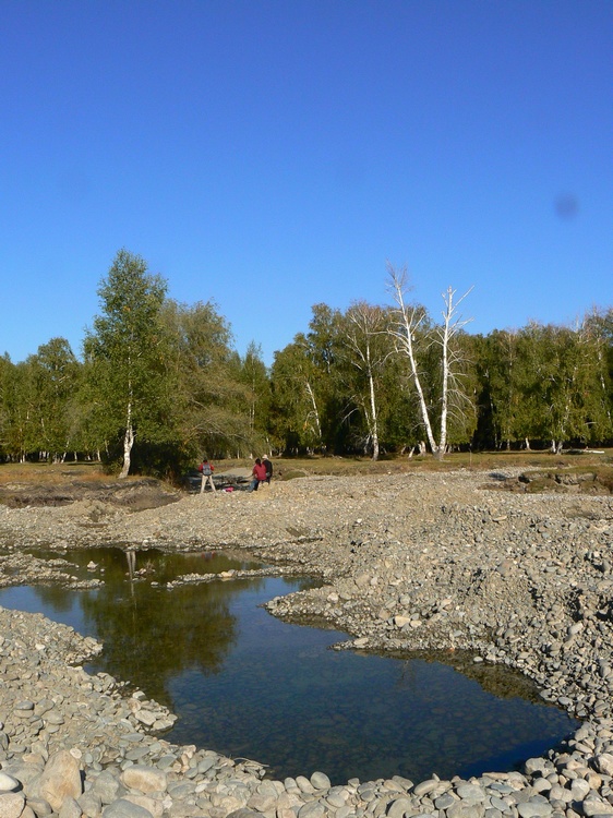 p1260175.jpg