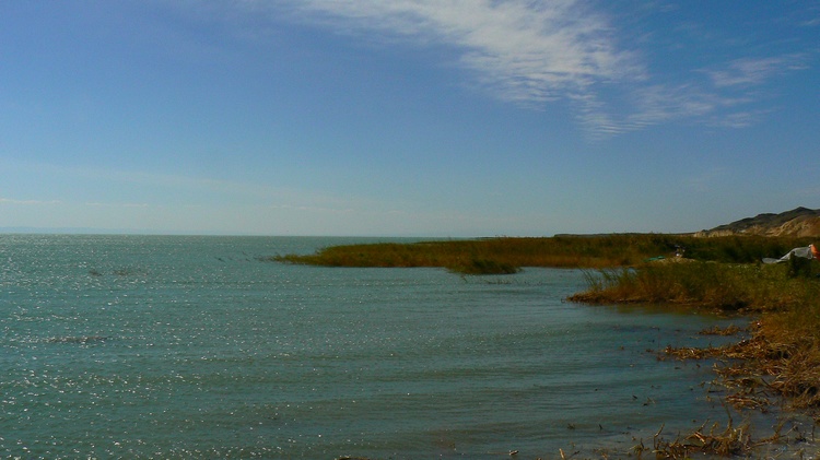 p1260224.jpg