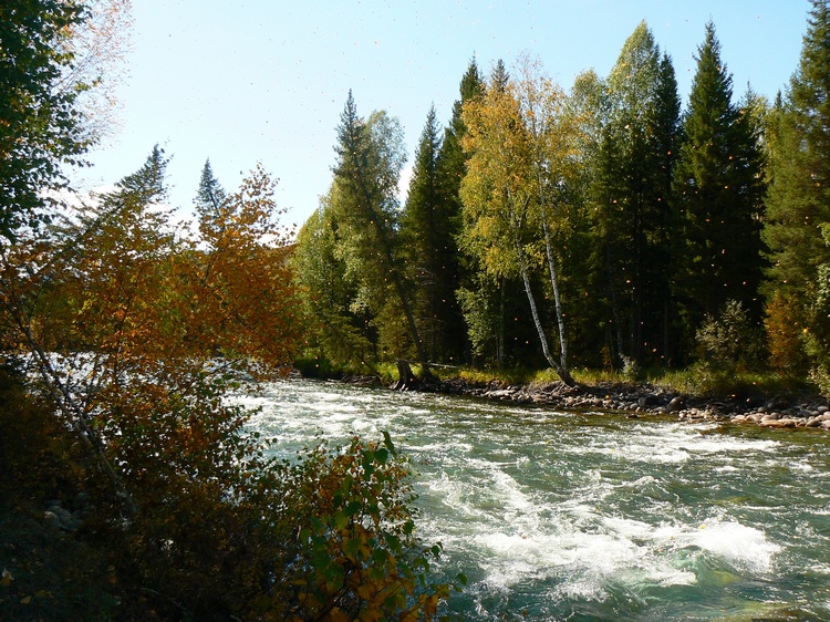 p1260021.jpg