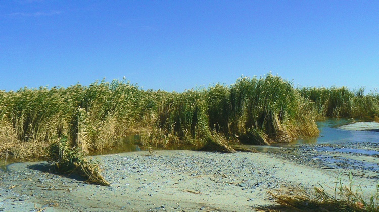 p1260232.jpg