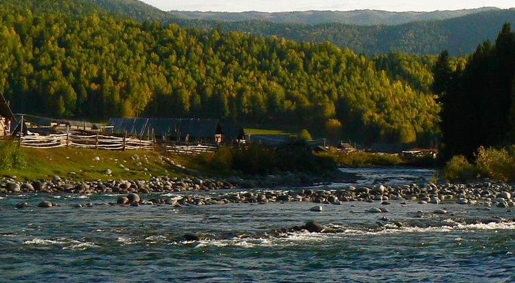 p1260049.jpg