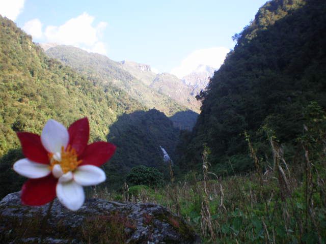 pa030598-1.jpg