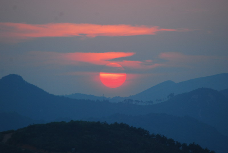 dsc_0590.jpg