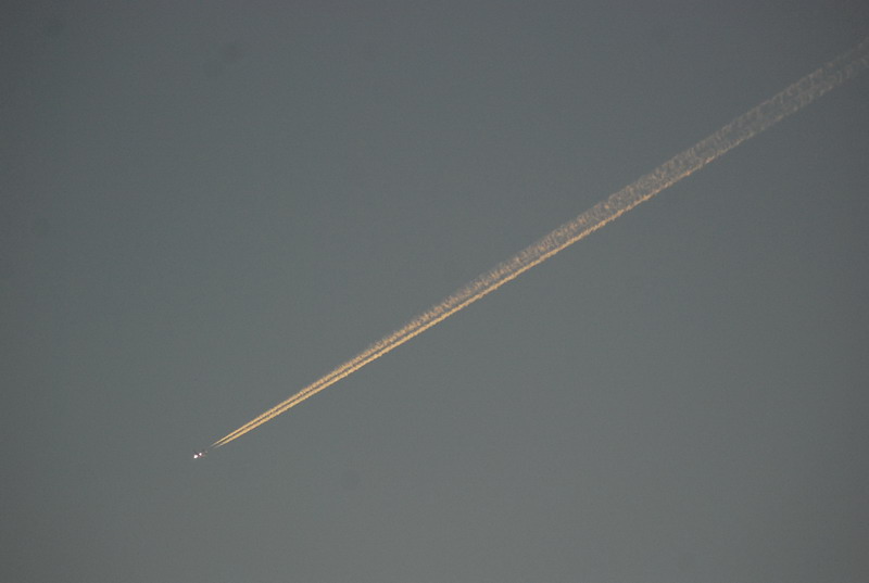 dsc_0625.jpg