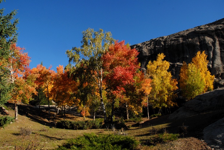 dsc_04982.jpg
