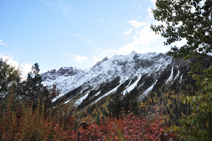 dsc_0690.jpg