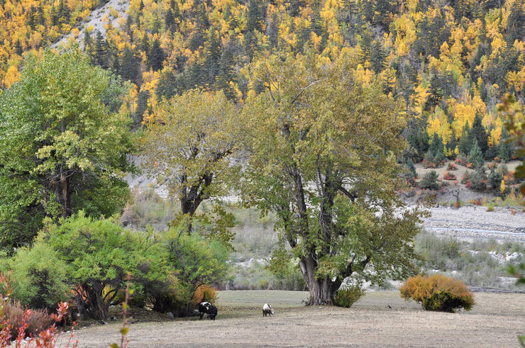 dsc_0814.jpg