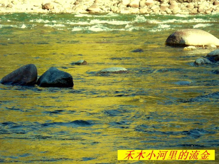 dsc08703    1q3.jpg
