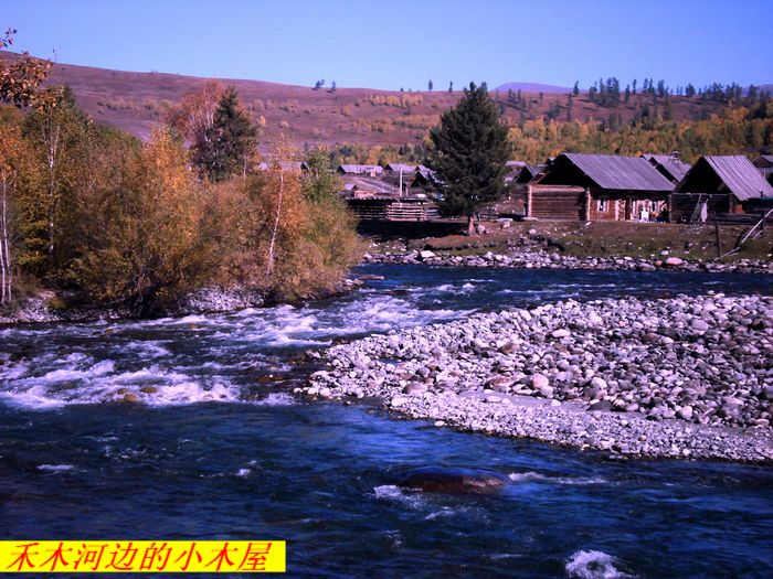 dsc08653   1v9.jpg