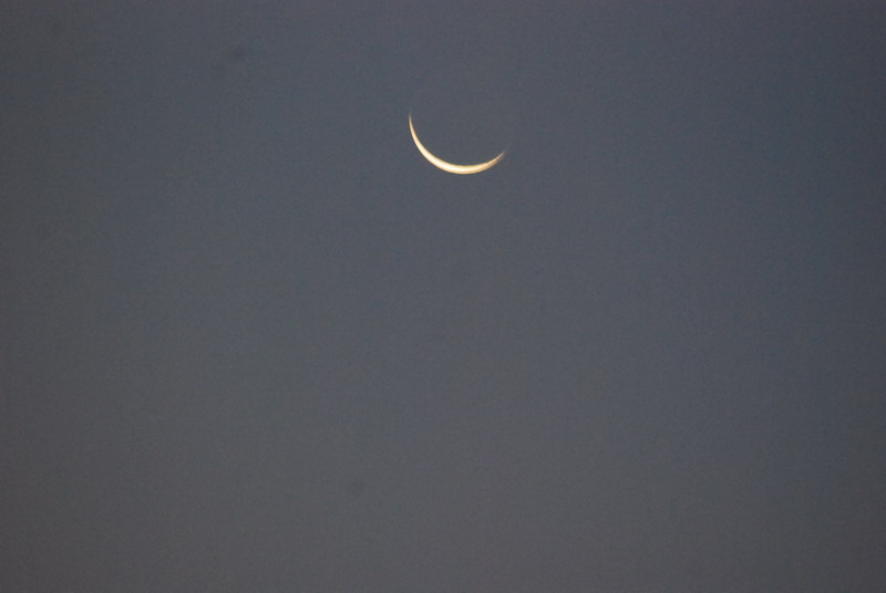 dsc_0014.jpg