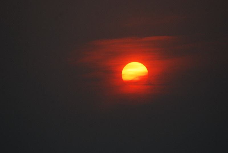 dsc_0071.jpg