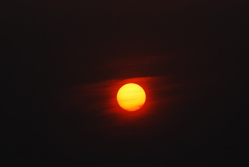 dsc_0079.jpg