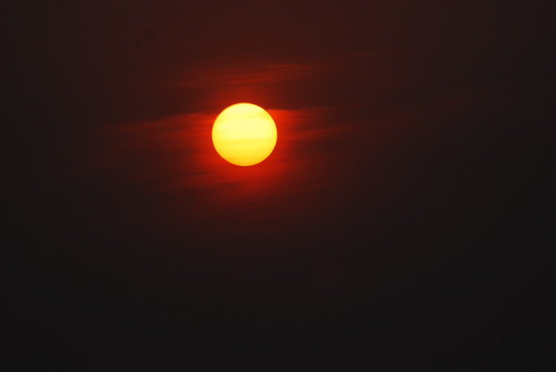 dsc_0082.jpg
