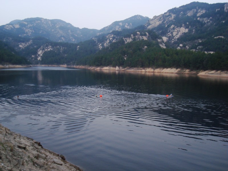 neo_img_dsc04292.jpg