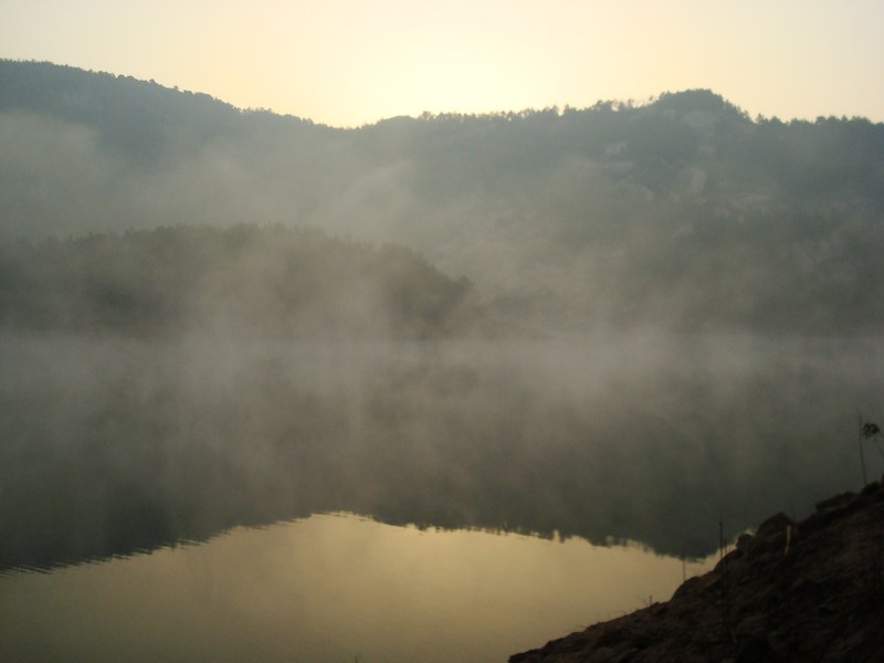 neo_img_dsc04319.jpg