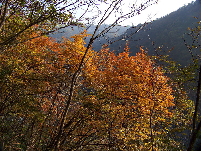 20101106gկ乵- (31).jpg