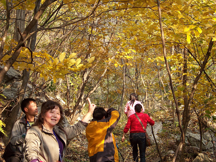 20101106gկ乵- (34).jpg