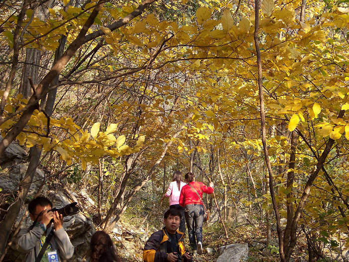20101106gկ乵- (35).jpg