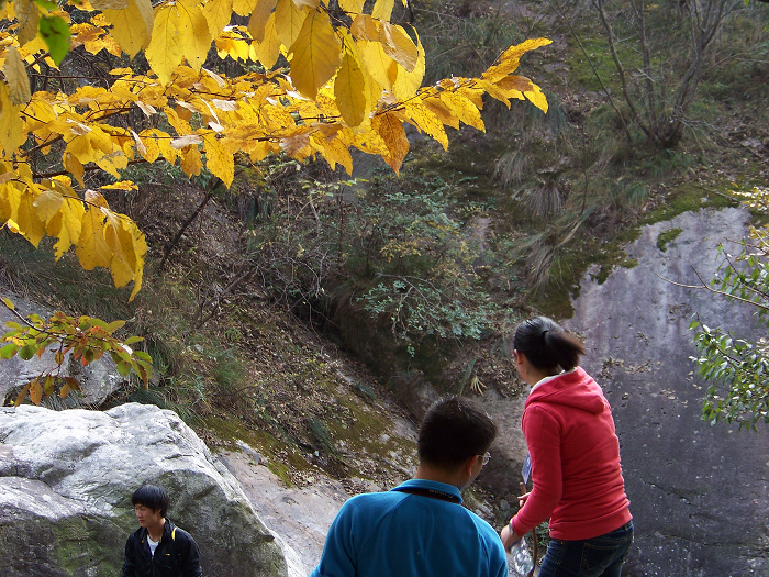 20101106gկ乵- (37).jpg