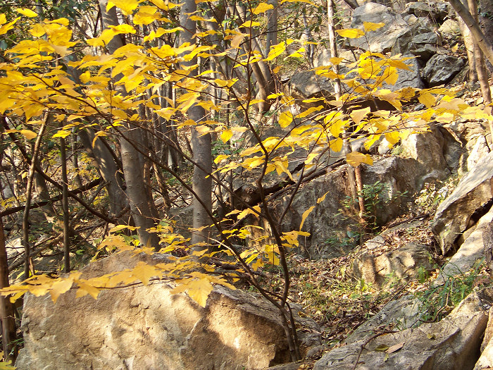 20101106gկ乵- (38).jpg