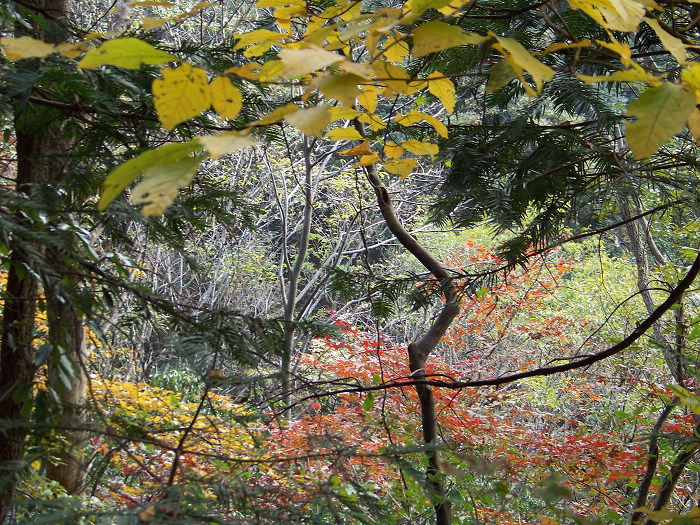 20101106gկ乵- (40).jpg