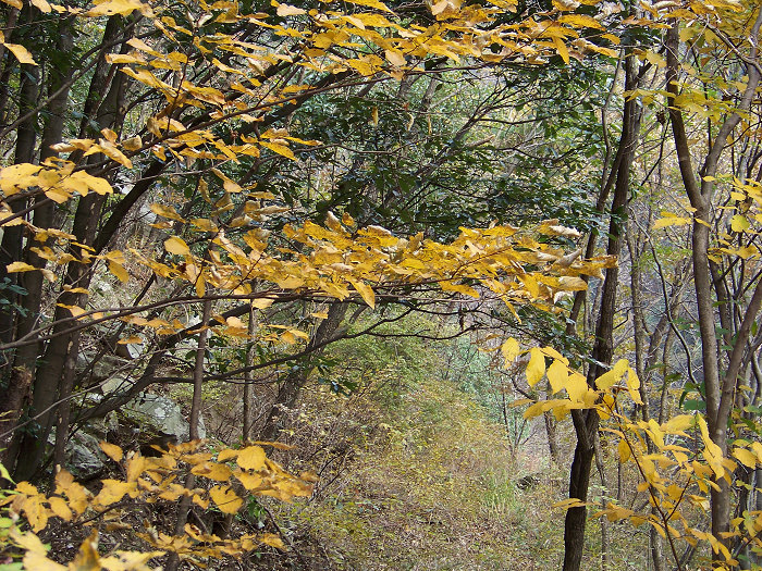 20101106gկ乵- (48).jpg