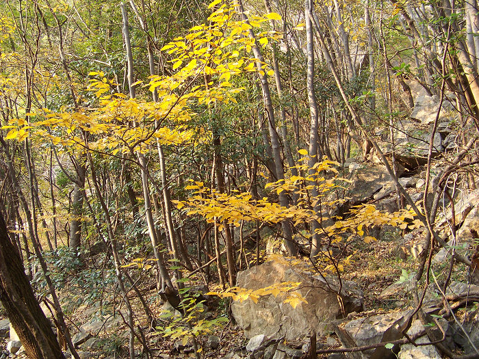 20101106gկ乵- (53).jpg