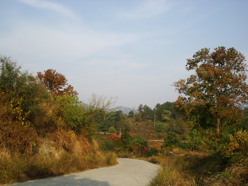 neo_img_dsc04390.jpg
