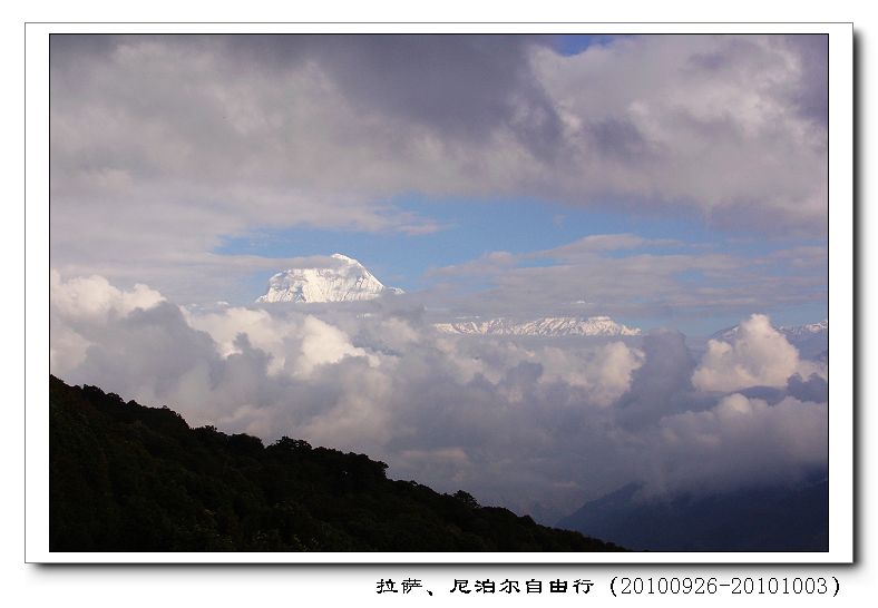 dsc09711.jpg
