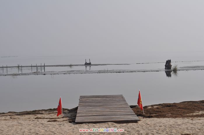 dsc_1225.jpg