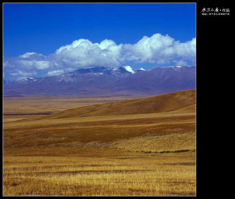 scan-101016-0017.jpg
